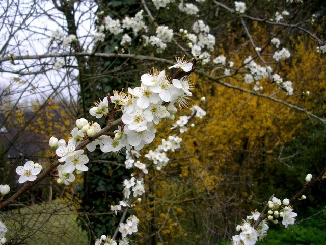 2007 03 Rando Gallardon 05